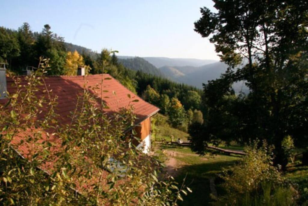 Appartement Dans Vielle Ferme Au Coeur Des Vosges Plainfaing Esterno foto