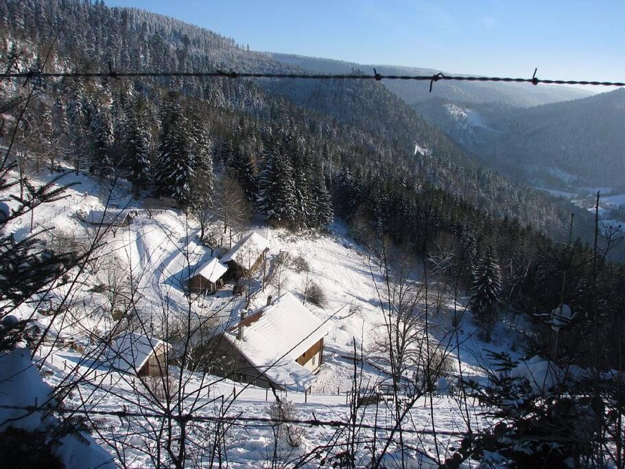 Appartement Dans Vielle Ferme Au Coeur Des Vosges Plainfaing Esterno foto