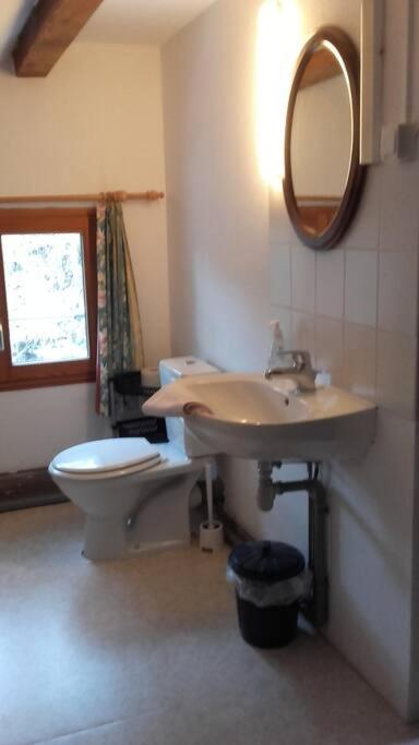 Appartement Dans Vielle Ferme Au Coeur Des Vosges Plainfaing Esterno foto