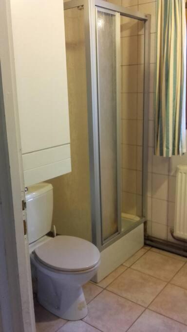 Appartement Dans Vielle Ferme Au Coeur Des Vosges Plainfaing Esterno foto